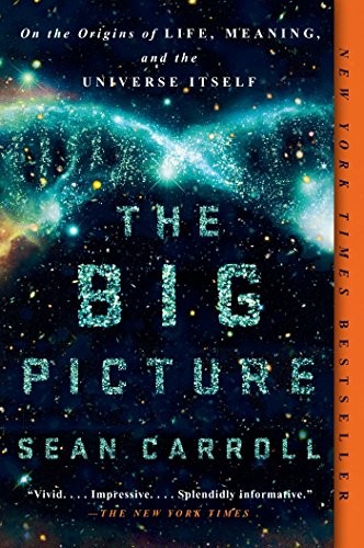 Sean Carroll, Sean M. Carroll: The Big Picture (Paperback, 2017, Dutton)