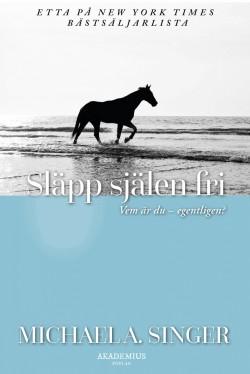 Eva Johanna Holmberg: Släpp själen fri (Hardcover, Swedish language, 2022, Akademius förlag)