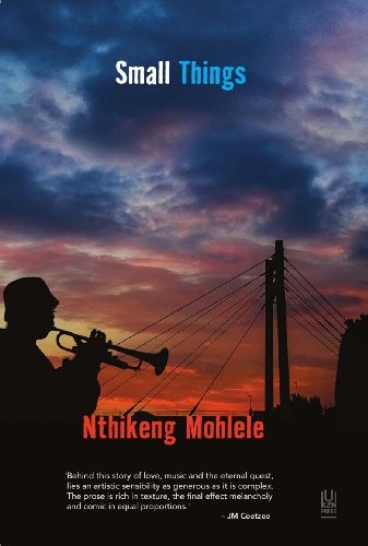 Nthikeng Mohlele: Small things (2013, University of KwaZulu-Natal Press, University of Kwazulu Natal Press)