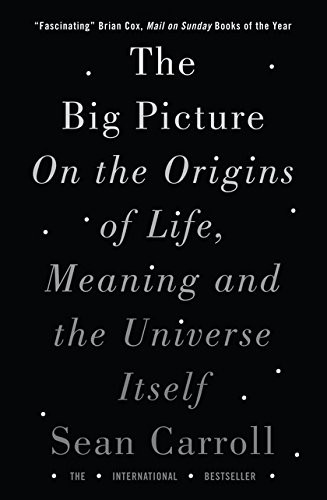 Sean M. Carroll: The Big Picture (Paperback, 2017, Oneworld Publications)