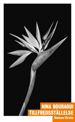 Maria Björkman: Tillfredsställelse (Hardcover, Swedish language, 2023, Elisabeth Grate bokförlag)