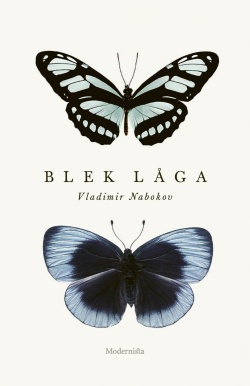 Caj Lundgren: Blek låga (Hardcover, Swedish language, 2020, Modernista)