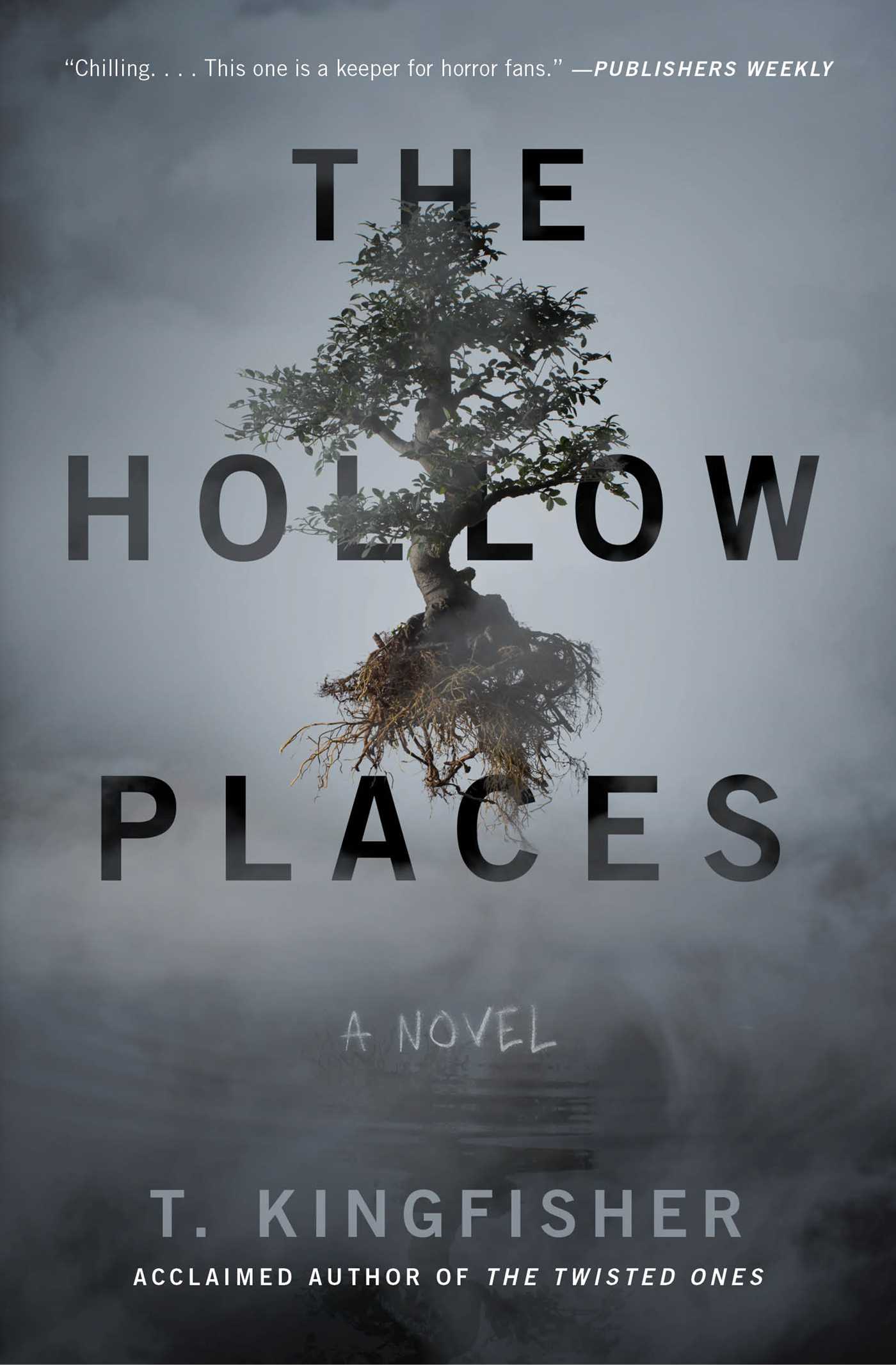 T. Kingfisher, .: The Hollow Places (2020)
