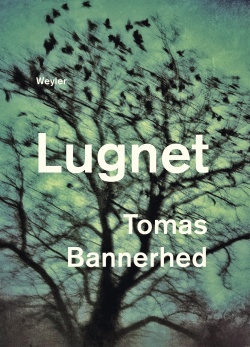 Lugnet (Hardcover, Swedish language, 2019, Weyler Förlag)