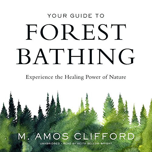 M. Amos Clifford: Your Guide to Forest Bathing (AudiobookFormat, Blackstone Audio, Blackstone Audiobooks)