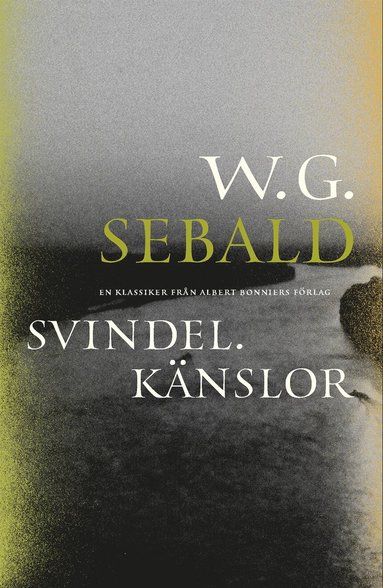 Zsuzsa Bánk, W. G. Sebald: Svindel. Känslor (Hardcover, Swedish language, 2009, Bonnier)