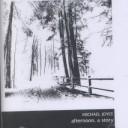Michael Joyce: Afternoon (AudiobookFormat, Eastgate Systems Inc, Eastgate Press)